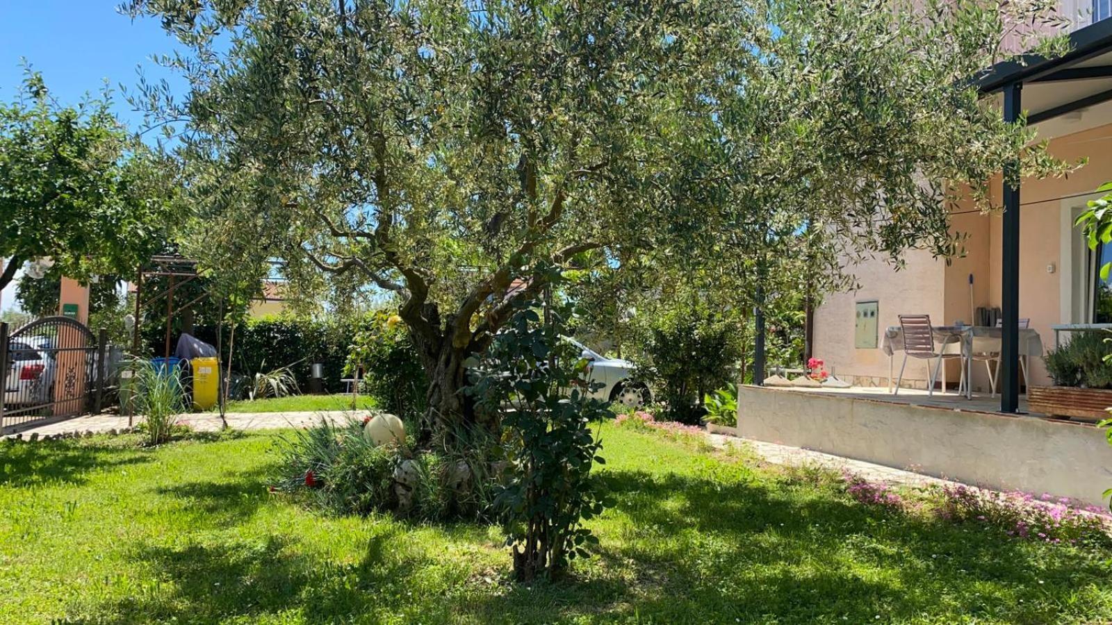 Apartment Gracijana Poreč Dış mekan fotoğraf