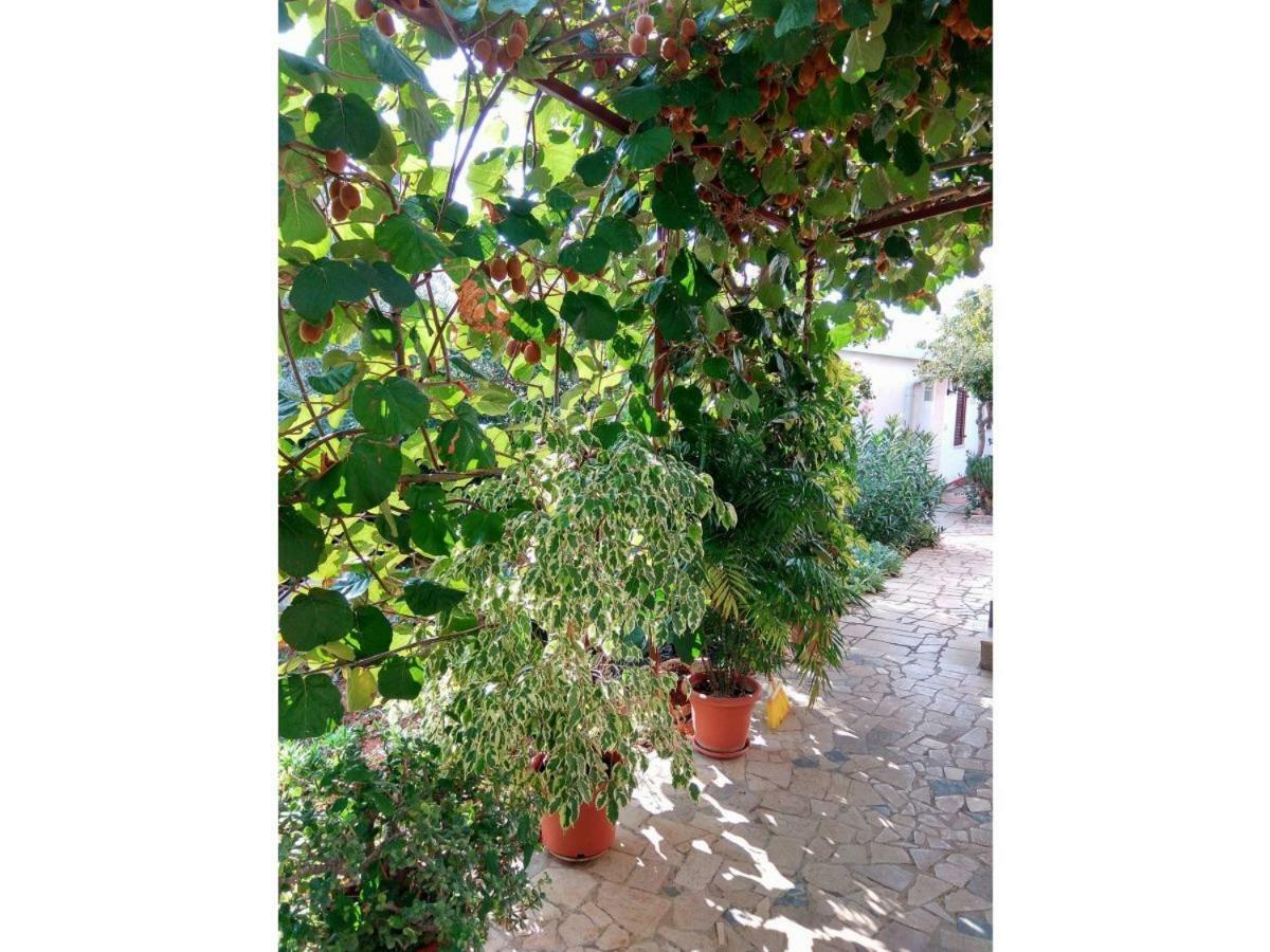 Apartment Gracijana Poreč Dış mekan fotoğraf